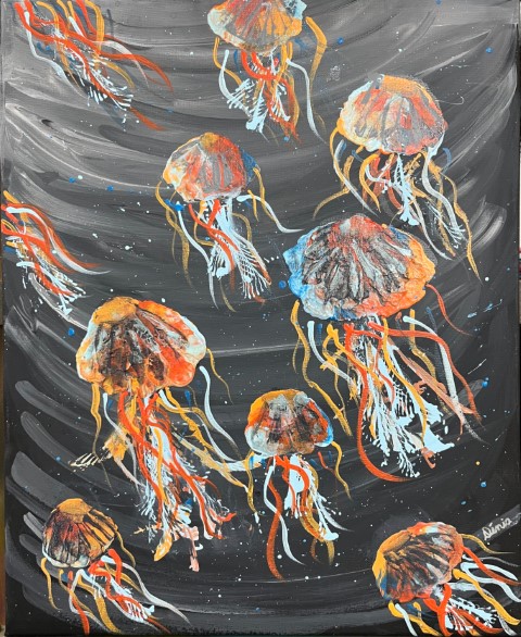 Jellyfish in the Dark